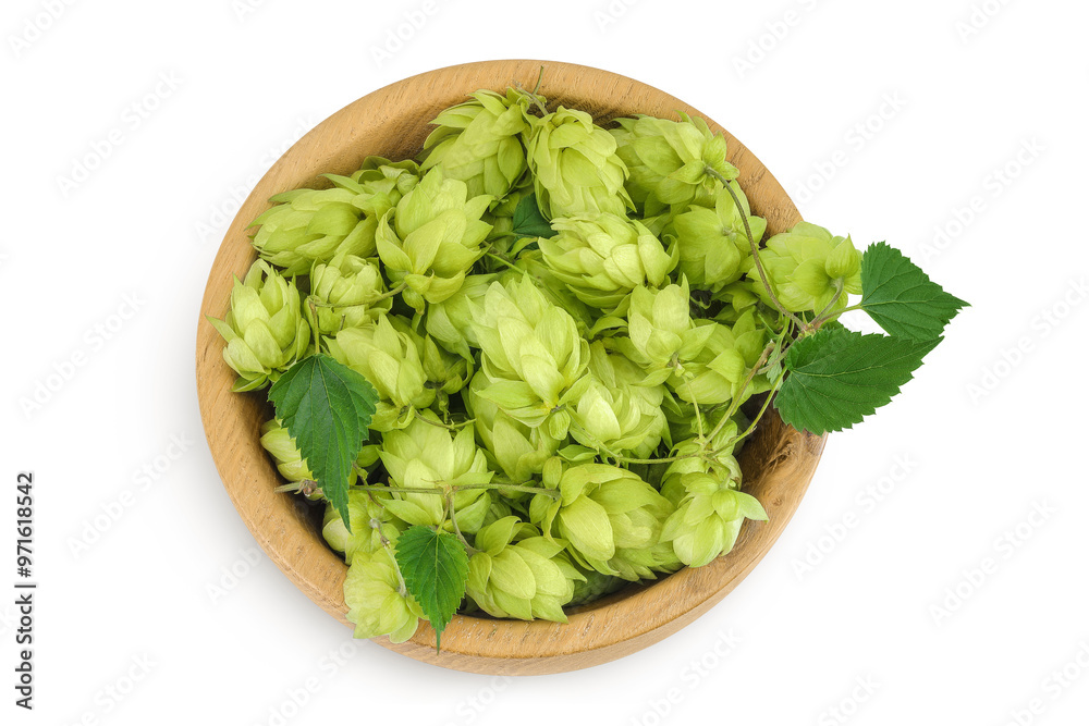 Hop cones in wooden bowl isolated on white background. Beer brewing ingredients. Top view. Flat lay Hop cones in wooden bowl isolated on white background. Beer brewing ingredients. Top view. Flat lay