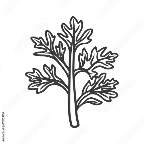 Black and White Line Drawing of a Single Sprig of Parsley