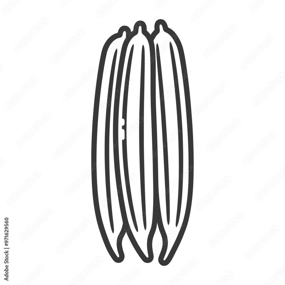 Black and White Line Drawing of Three Okra Pods Black and White Line Drawing of Three Okra Pods