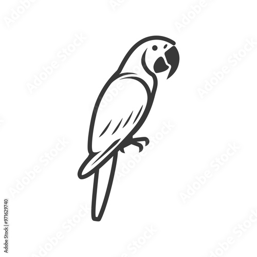 Black and white outline drawing of a parrot