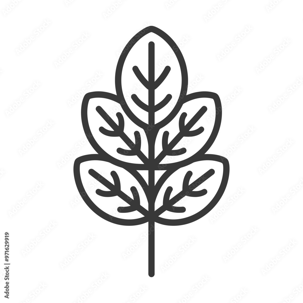 Black and White Outline Illustration of a Leaf Branch Black and White Outline Illustration of a Leaf Branch
