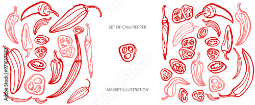 Hand drawn chili pepper, line art vector isolated set. Chili pepper outline. Red on the white background. Jalapeno.