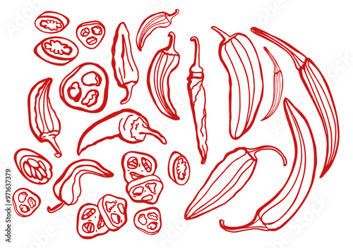 Hand drawn chili pepper, line art vector isolated set. Chili pepper outline. Red on the white background. Jalapeno.