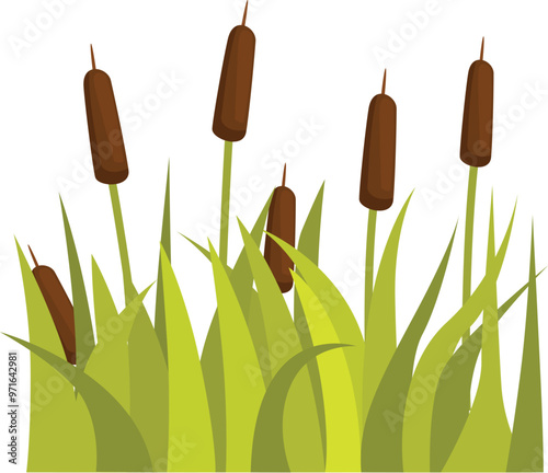This vector illustration features a group of cattails growing in a wetland area