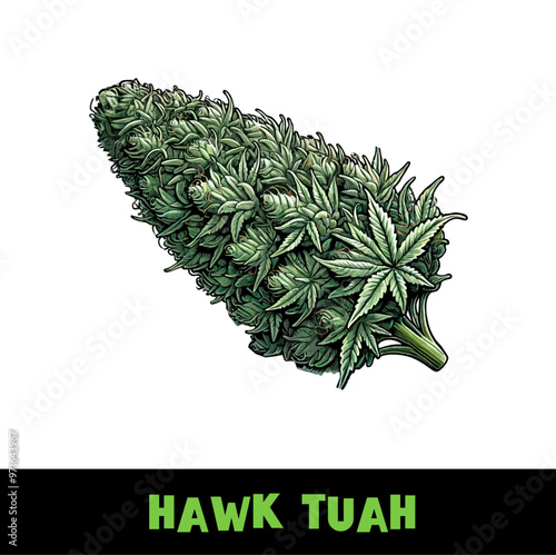  Vector Illustrated Hawk Tuah Cannabis Bud Strain Cartoon