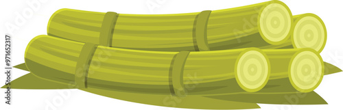 Green sugarcane sticks with cut pieces lying on the ground