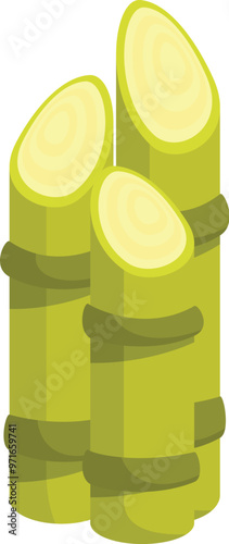 Three sugarcane stalks standing upright, showcasing the fresh and juicy interior of the plant