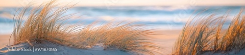 Fluttering Beach Grasses Choreographed by the Ocean Breeze photo