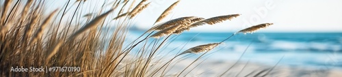 Fluttering Beach Grasses Choreographed by the Ocean Breeze photo