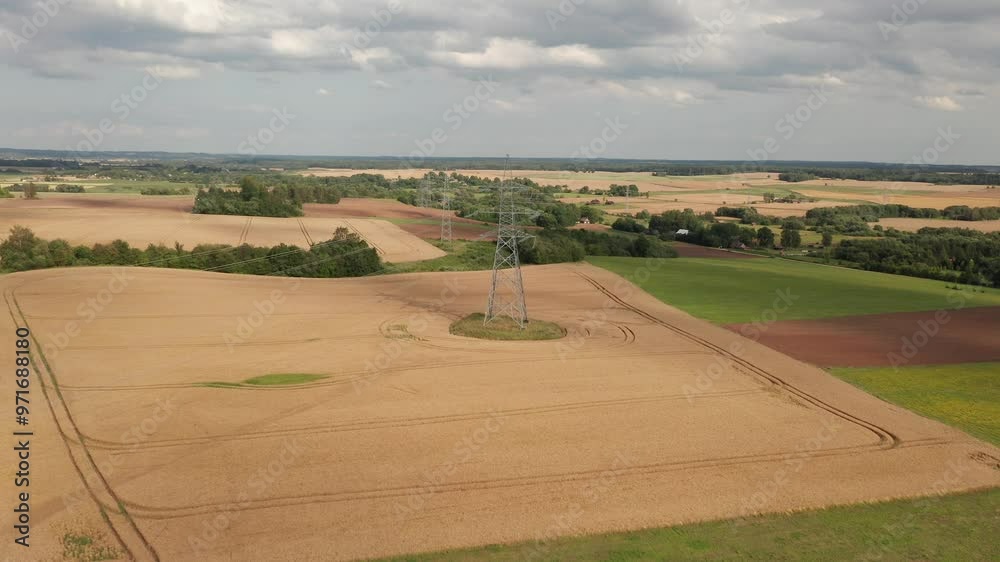 A flying camera captures electric line towers amidst golden crops.