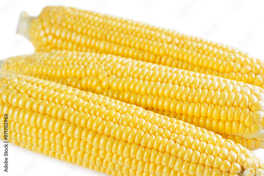Fresh yellow sweet corn background, corncob with yellow and white grains close up. Fresh yellow sweet corn background, corncob with yellow and white grains close up.