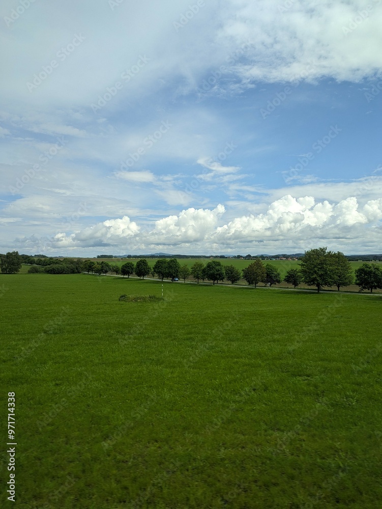 Expansive green meadow under a bright sky with fluffy clouds, featuring rows of trees and distant rural scenery, evoking tranquility and natural beauty Expansive green meadow under a bright sky with fluffy clouds, featuring rows of trees and distant rural scenery, evoking tranquility and natural beauty
