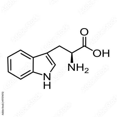 Chemical structural formula of amino acid, tryptophan