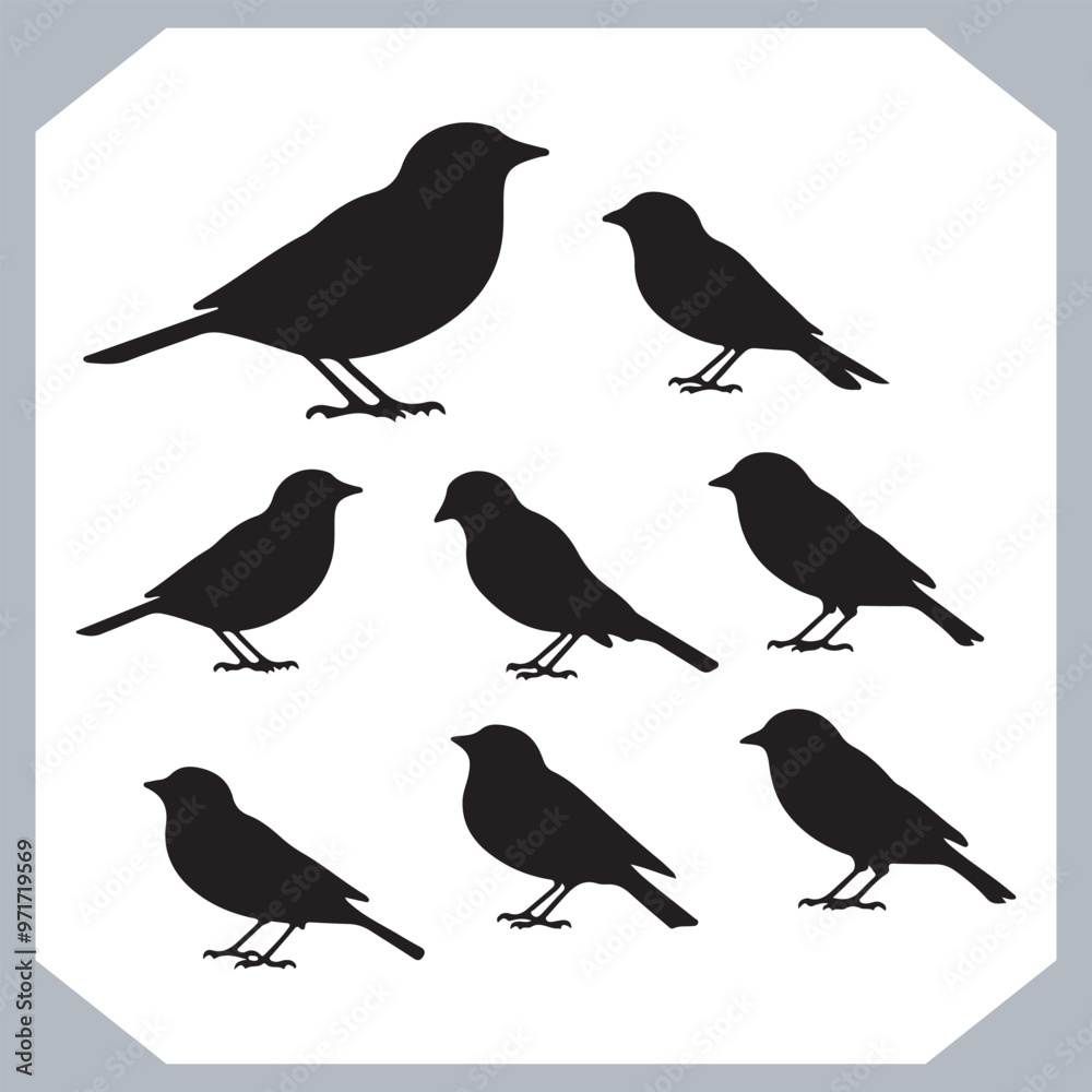 Obraz premium Set of Sparrow bird silhouette collection, Sparrow flying design, bird black silhouettes of different kinds sparrow vector flat isolated