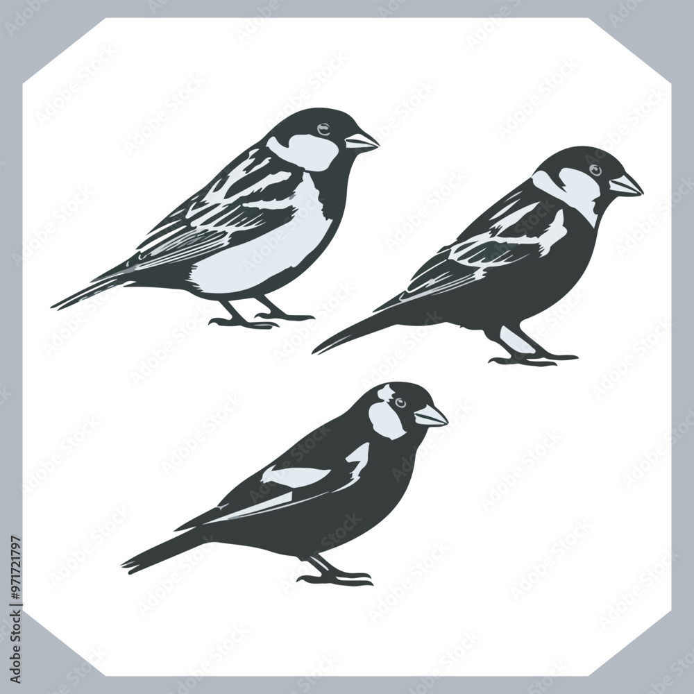 Fototapeta premium Set of Sparrow bird silhouette collection, Sparrow flying design, bird black silhouettes of different kinds sparrow vector flat isolated