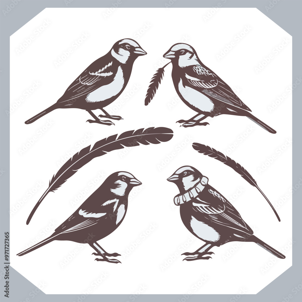 Set of Sparrow bird silhouette collection, Sparrow flying design, bird black silhouettes of different kinds sparrow vector flat isolated Set of Sparrow bird silhouette collection, Sparrow flying design, bird black silhouettes of different kinds sparrow vector flat isolated
