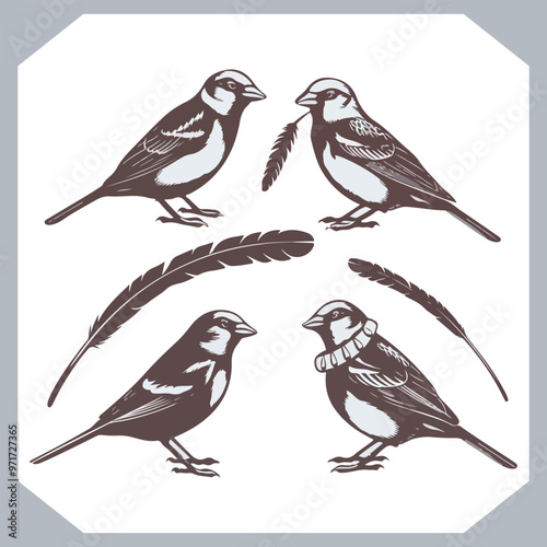 Wallpaper Mural Set of Sparrow bird silhouette collection, Sparrow flying design, bird black silhouettes of different kinds sparrow vector flat isolated Torontodigital.ca