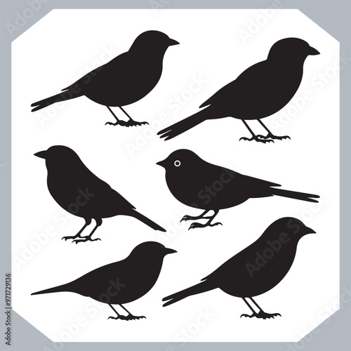 Wallpaper Mural Set of Sparrow bird silhouette collection, Sparrow flying design, bird black silhouettes of different kinds sparrow vector flat isolated Torontodigital.ca