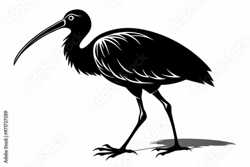 Walking ibis bird silhouette black vector art illustration  photo