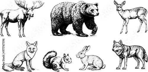 Vintage vector sketch illustration set ofroe deer, hare, squirrel, moose, fox, bear, and wolf.