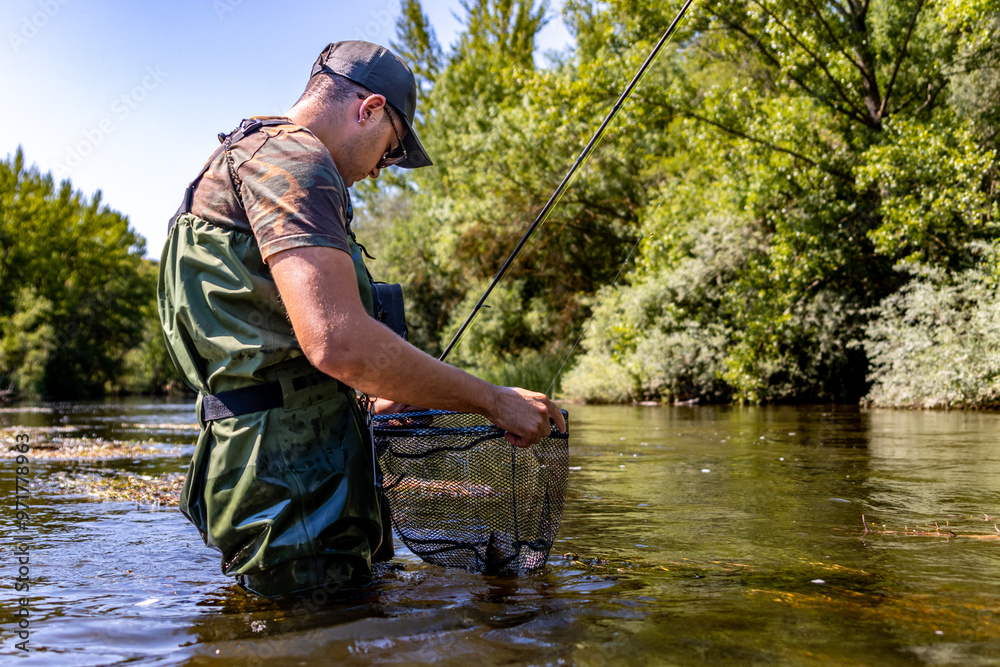 Fisherman inspecting catch in river using net Fisherman inspecting catch in river using net