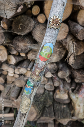 Stocknägel an einem alten Wanderstock photo