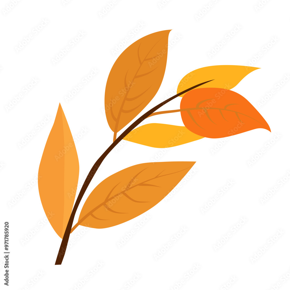Vector autumn yellow and orange dry ash leaves. Clipart is on white background. Isolated flat illustration with brown plants for design, greeting card, banner, board, flyer, sale, poster