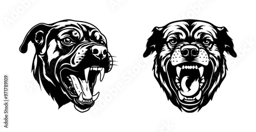Aggressive dog head illustrations with bared teeth, detailed vector illustration. Ferocious canine faces black and white, powerful expressions and sharp fangs.