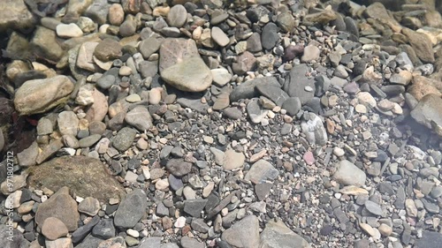 Wallpaper Mural A clear transparent river. Pebbles in the water. The water is flowing. Torontodigital.ca