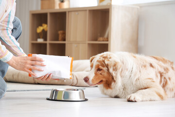 Young woman pouring dry pet food into bowl for Australian Shepherd dog at home