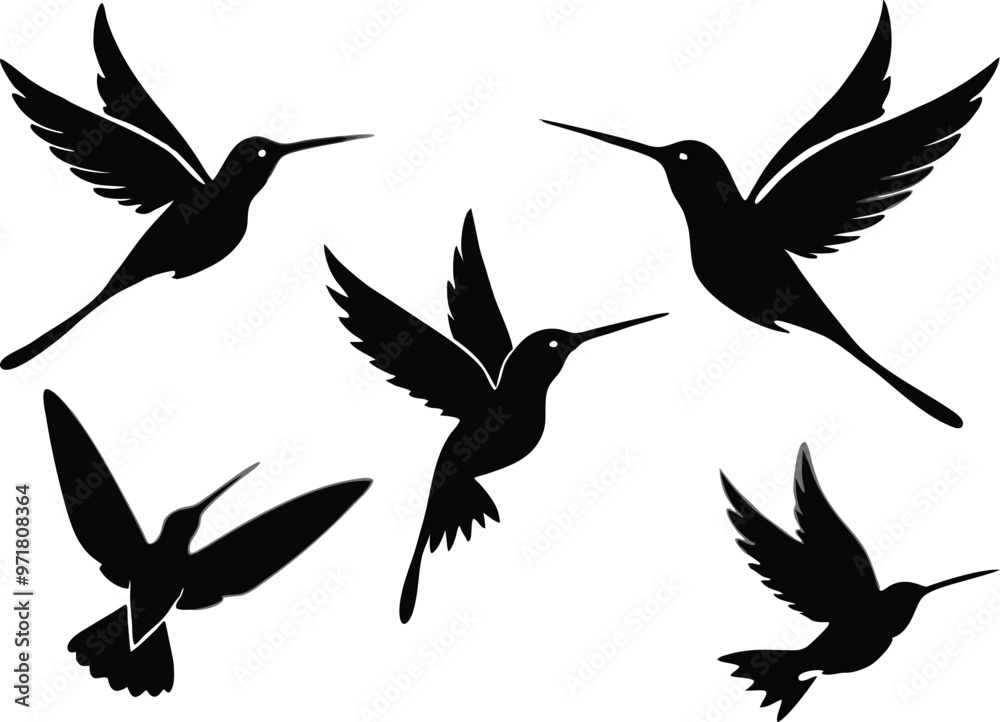 Obraz premium Humming bird silhouette vector illustration
