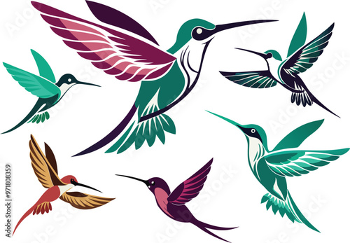 Humming bird silhouette vector illustration