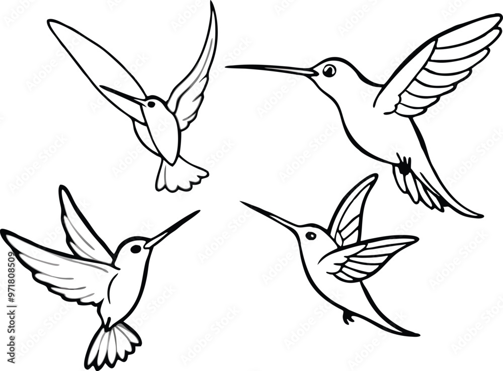Humming bird silhouette vector illustration Humming bird silhouette vector illustration