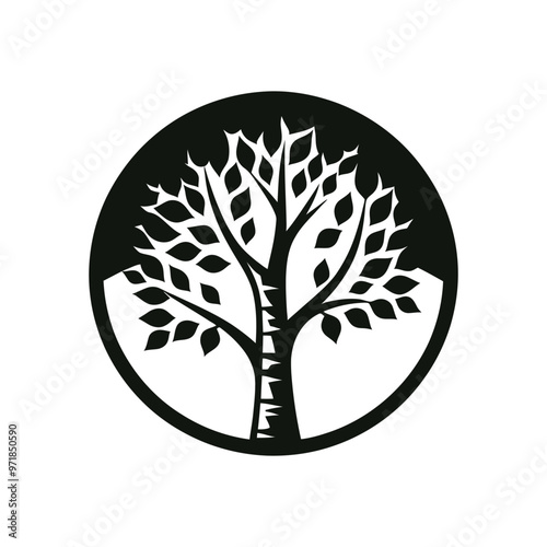 Stylized Birch Tree Silhouette - Ideal for Creative Projects