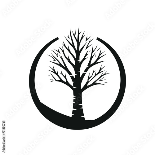 Elegant Birch Tree Silhouette Vector - Nature Inspired Design