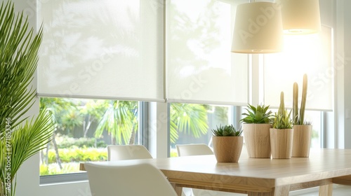 Modern dining room with wooden table  chairs  plants  and window blinds