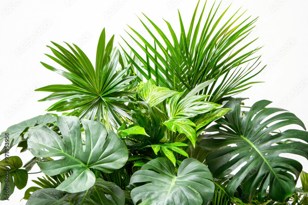 Lush green tropical plants bush floral arrangement on white background.