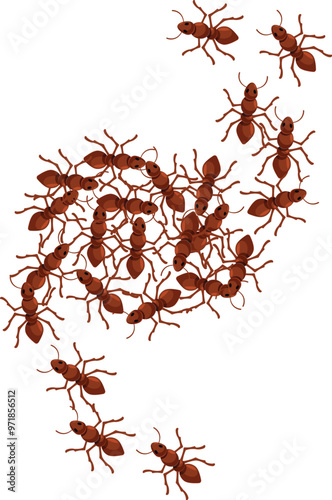 Large group of ants marching together in trail formation