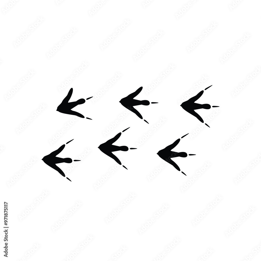 bird foot logo vector design bird foot logo vector design