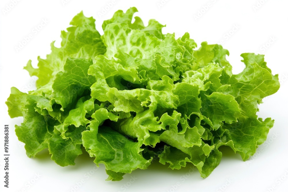 green lettuce leaves on white background for salad , ai green lettuce leaves on white background for salad , ai