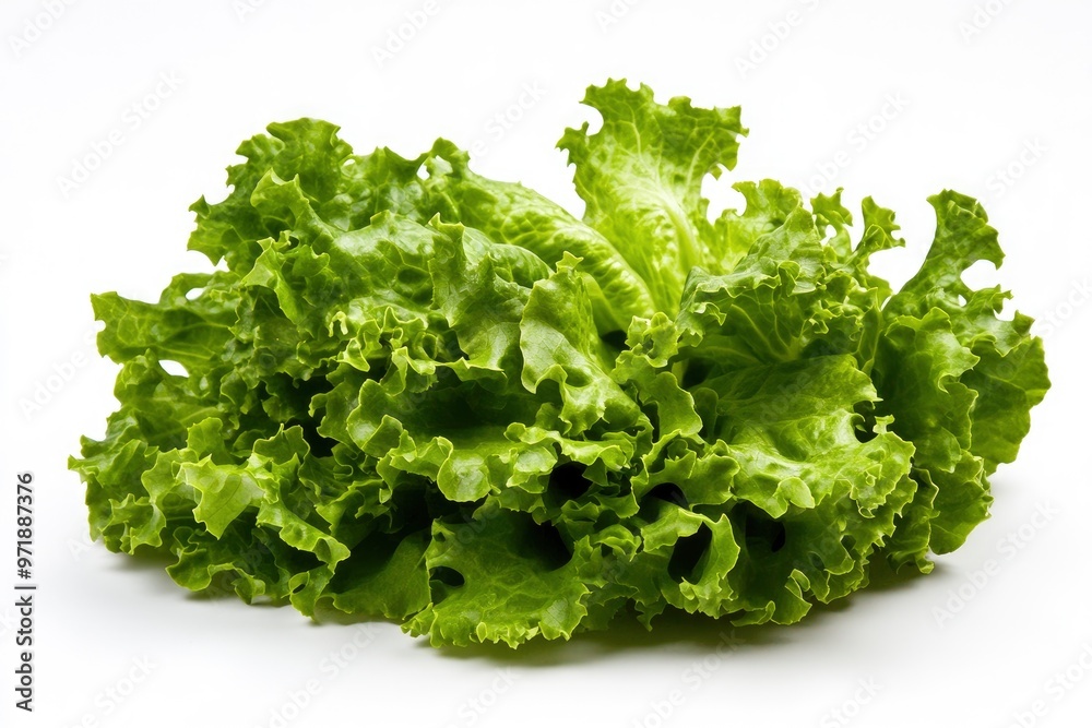 green lettuce leaves on white background for salad , ai green lettuce leaves on white background for salad , ai
