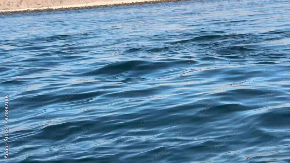 Gangle Wave A detailed view of gentle ocean waves moving across the water's surface ...