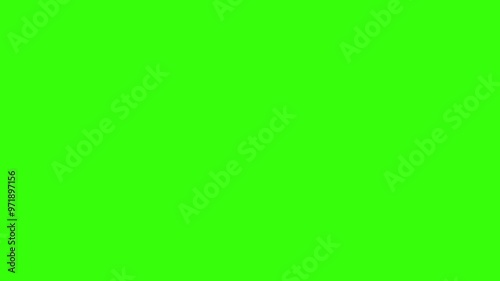 bat animation on green screen, halloween background