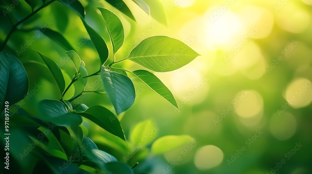 Abstract background nature view with copy space using as background natural landscapeTextures Leaves cover page fresh wallpaper concept : Generative AI Abstract background nature view with copy space using as background natural landscapeTextures Leaves cover page fresh wallpaper concept : Generative AI