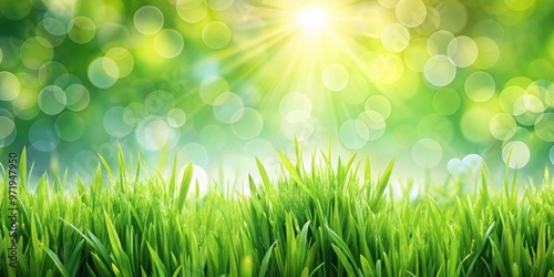 Sunny springtime scene with bokeh effect and fresh green grass. Banner design with space for text, spring, sunny, nature