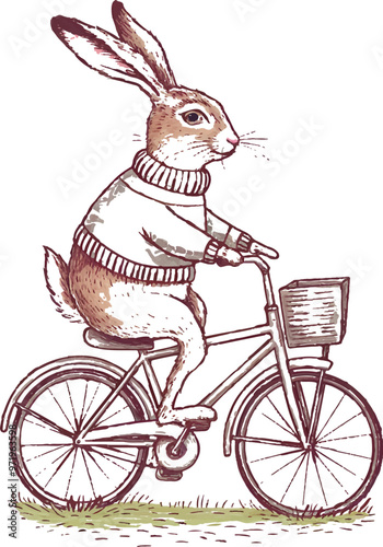A art illustration of a cute hare riding a bicycle