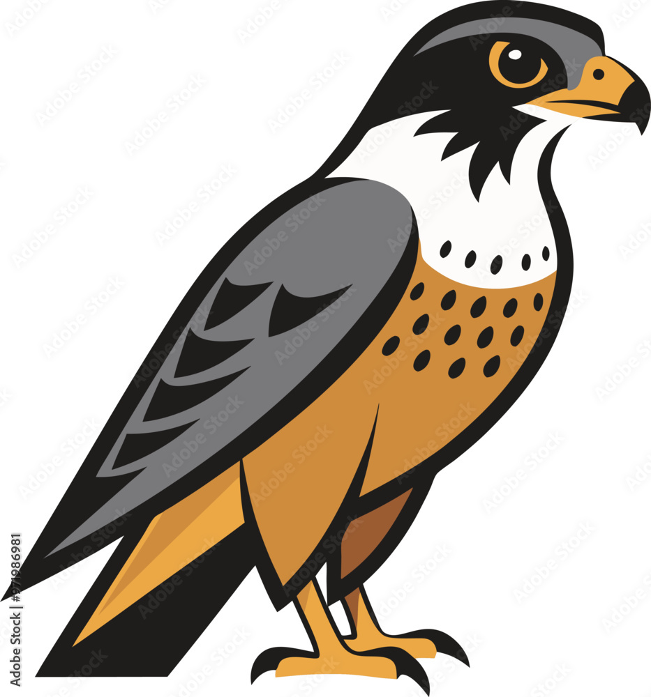 Fototapeta premium Illustration falcon fly bird animal flat art design