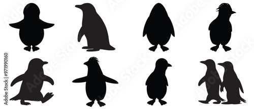 A group of penguins silhouette vector set. silhouette penguin different pose walking and skating,