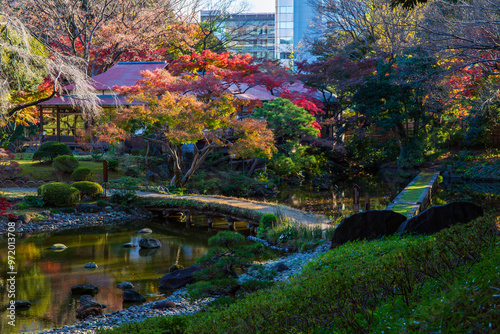 日本の風景・秋　東京都文京区　紅葉の小石川後楽園 photo