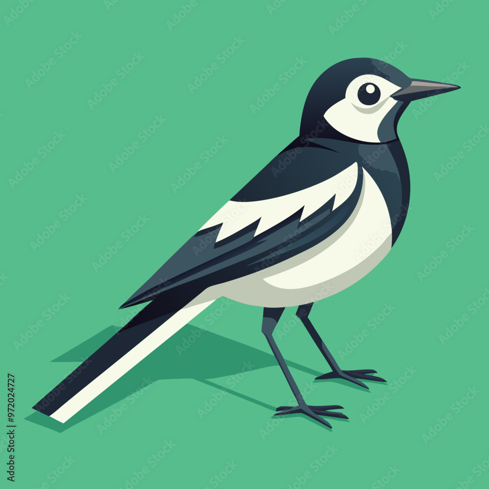 Fototapeta premium Wagtail Isometric Illustrations Vector, Elegant and Detailed Artwork